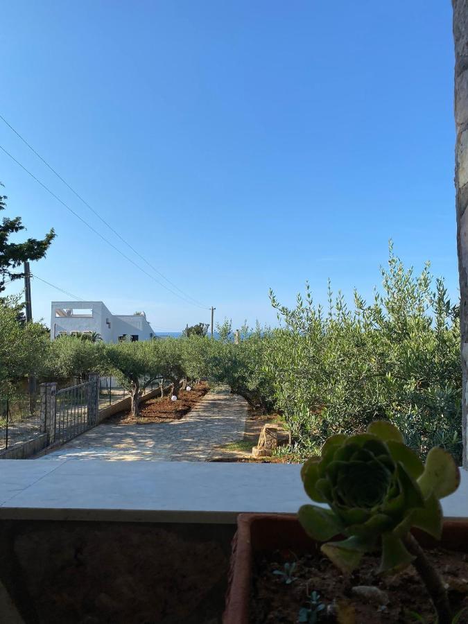 Villa L'Orizzonte Di Calabianca Кастелламмаре-дель-Голфо Экстерьер фото