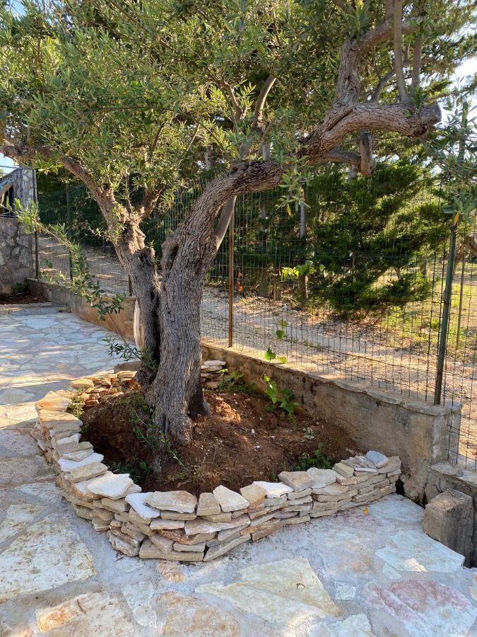 Villa L'Orizzonte Di Calabianca Кастелламмаре-дель-Голфо Экстерьер фото