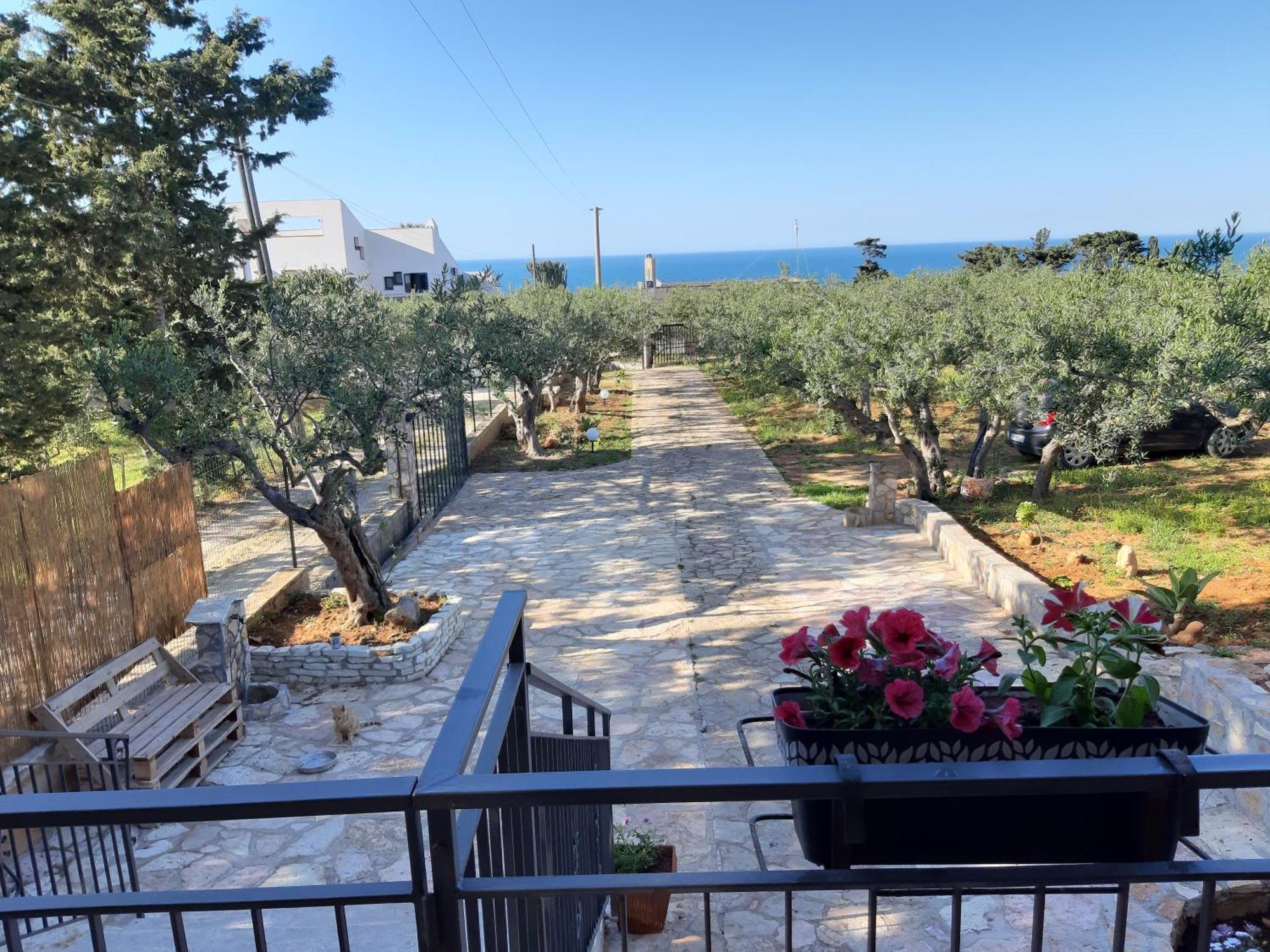 Villa L'Orizzonte Di Calabianca Кастелламмаре-дель-Голфо Экстерьер фото