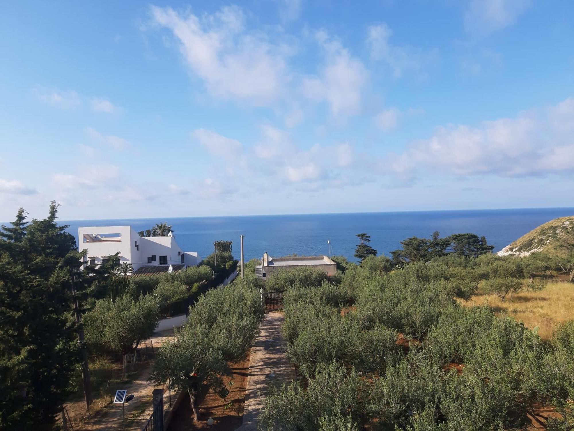 Villa L'Orizzonte Di Calabianca Кастелламмаре-дель-Голфо Экстерьер фото