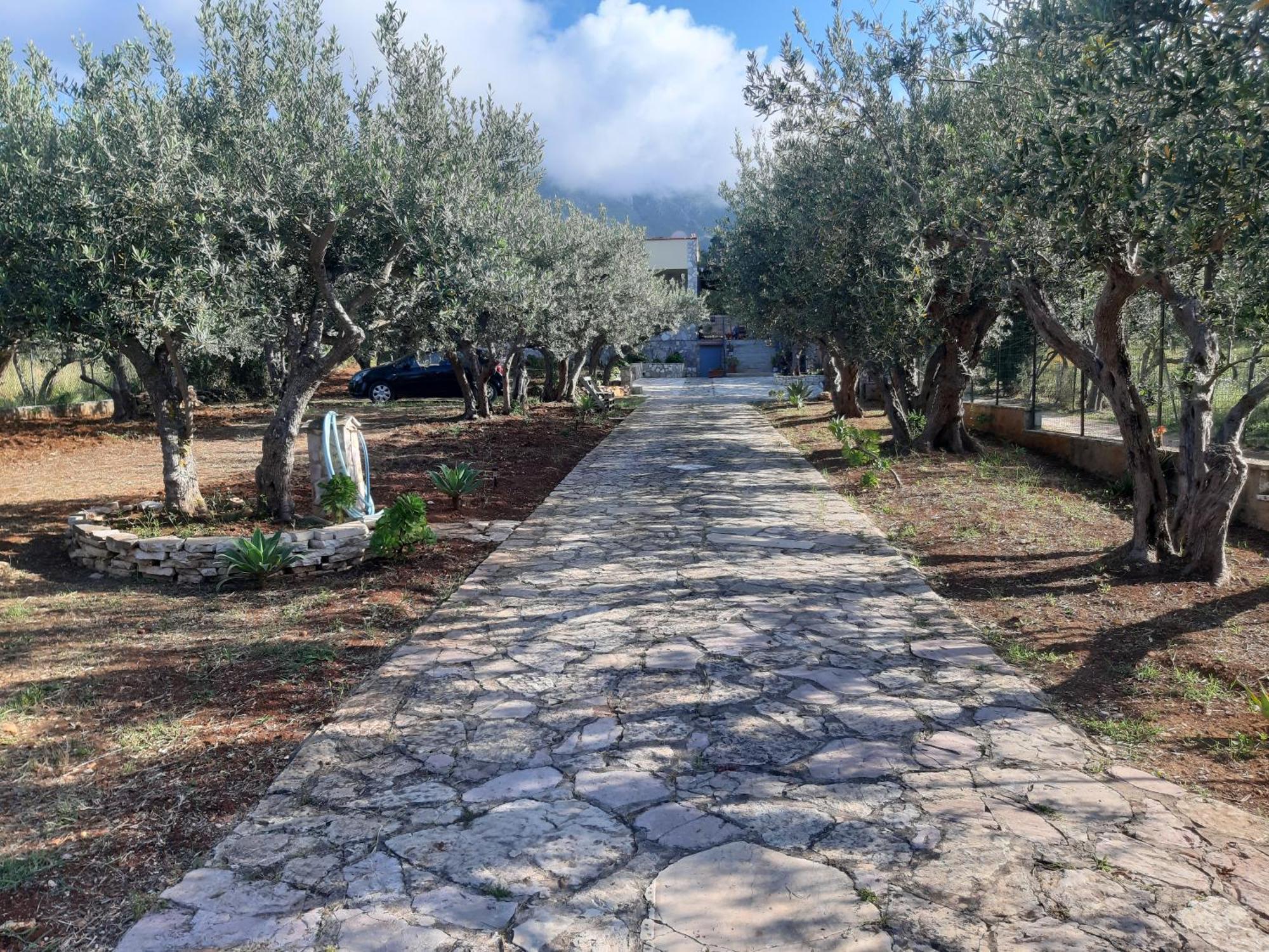 Villa L'Orizzonte Di Calabianca Кастелламмаре-дель-Голфо Экстерьер фото