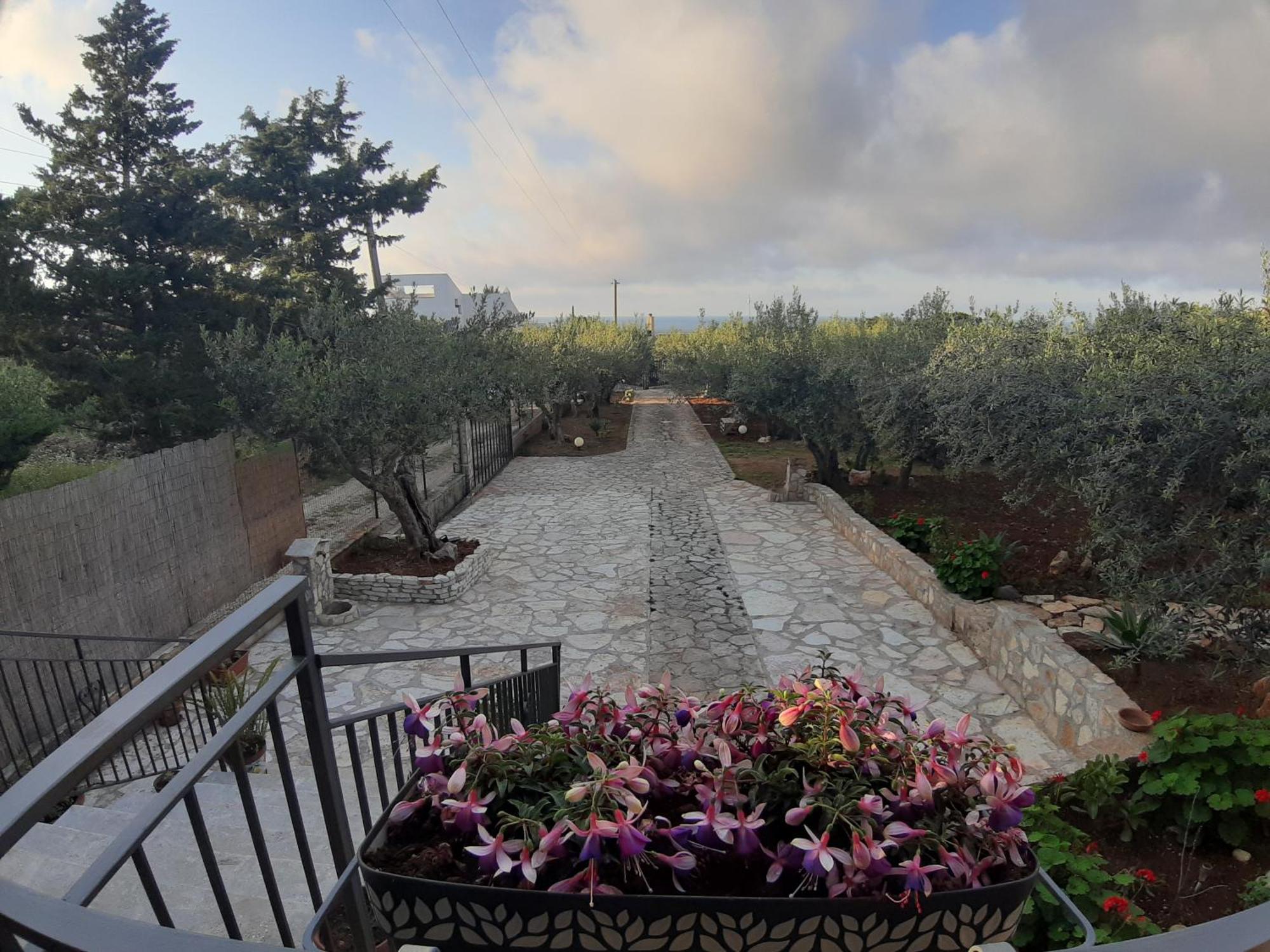 Villa L'Orizzonte Di Calabianca Кастелламмаре-дель-Голфо Экстерьер фото