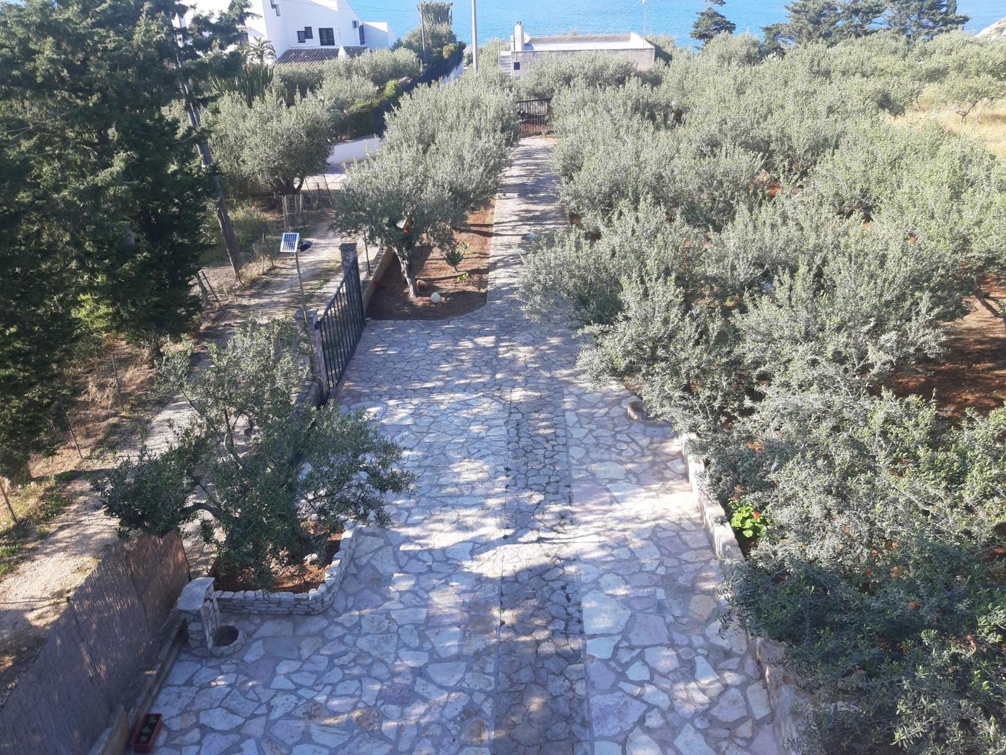 Villa L'Orizzonte Di Calabianca Кастелламмаре-дель-Голфо Экстерьер фото